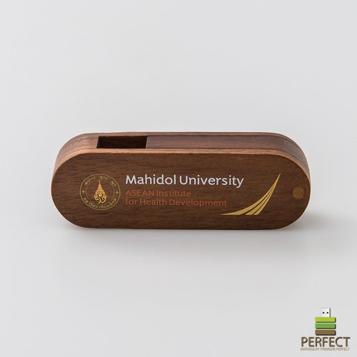 ผลงานแฟลชไดร์ฟ Manidol University