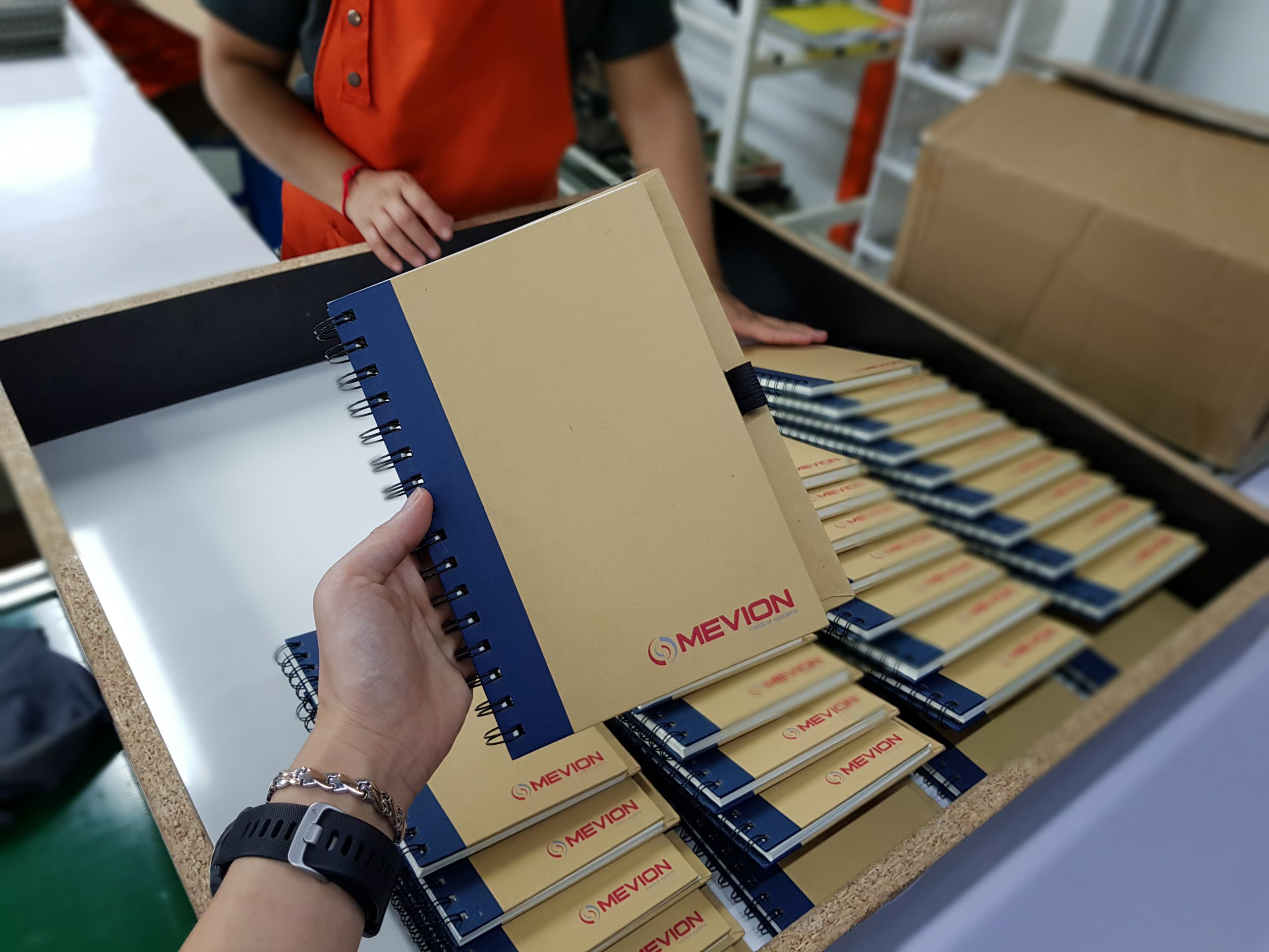 ผลงาน ของพรีเมี่ยม สมุดโน๊ต MEVION