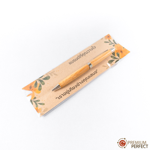 PA-PM-F6-แพคเกจปากกา (14) PA-PM-F6-แพคเกจปากกา