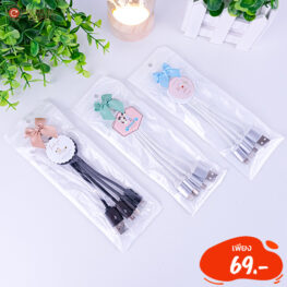 ของชำร่วย (14)