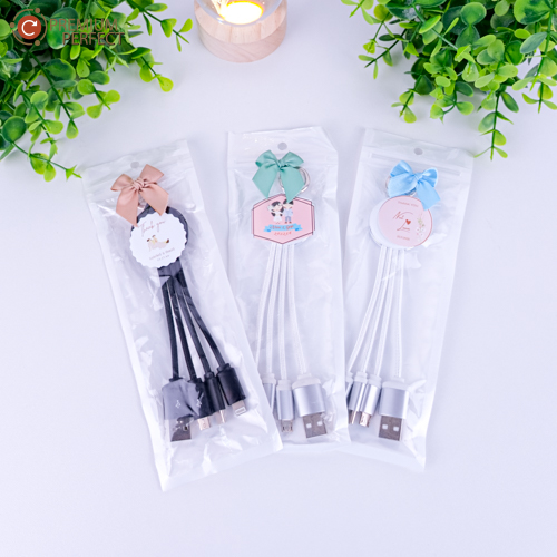 ผลงาน-สายชาร์จ-ของชำร่วย