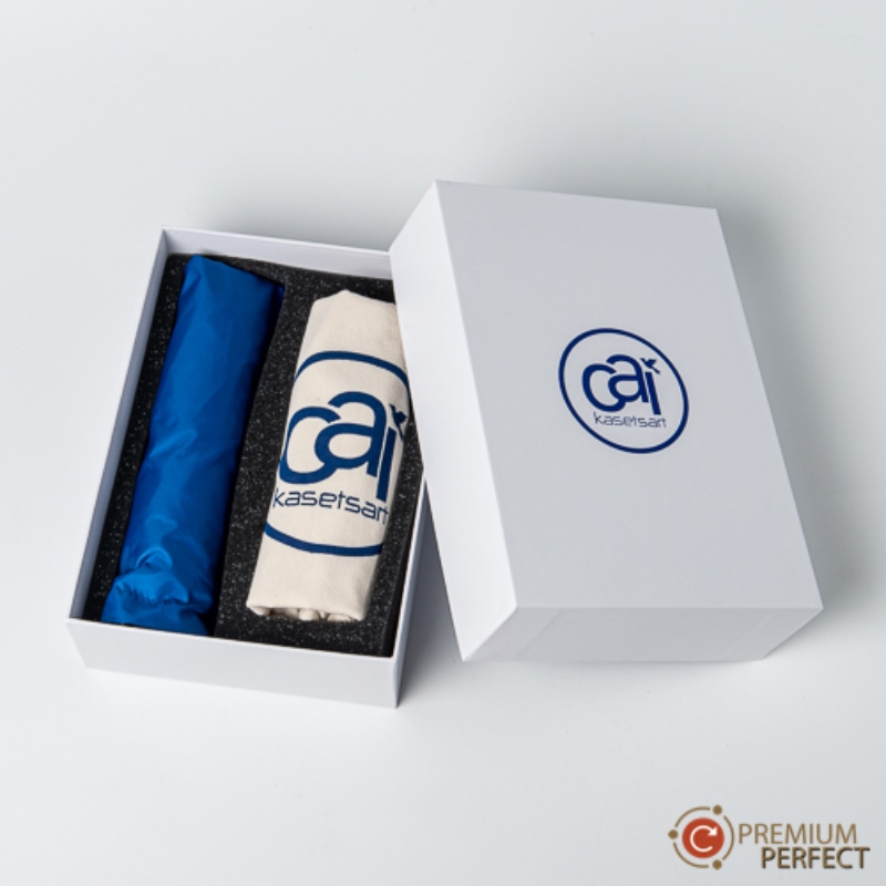 promotional-gifts-vs-ads-for-lasting-brand-recall