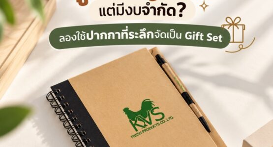 affordable-premium-pen-gift-sets-for-corporate-clients